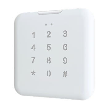 IWAC Out Keypad | In-Wall Access Controller for Outdoors installation with Keypad - ZVIIWOKW